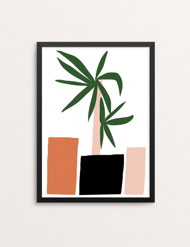 office plants shipley yuca palm mercedes leon merchesico contemporary illustration home framed print